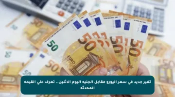 تغير جديد في سعر اليورو مقابل الجنيه اليوم الاثنين.. تعرف على القيمة المحدثة